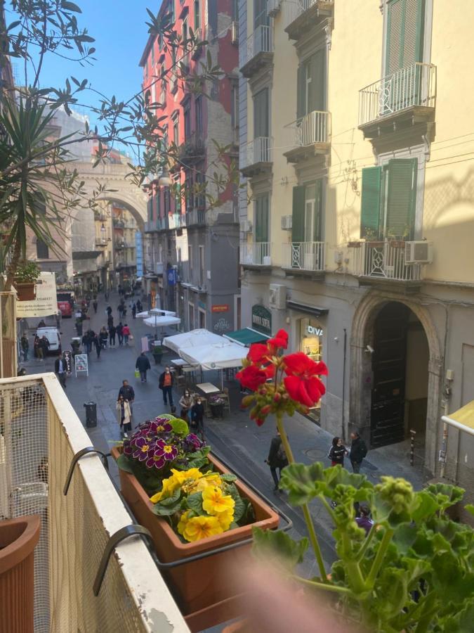 Bed & Breakfast Plebiscito 3*