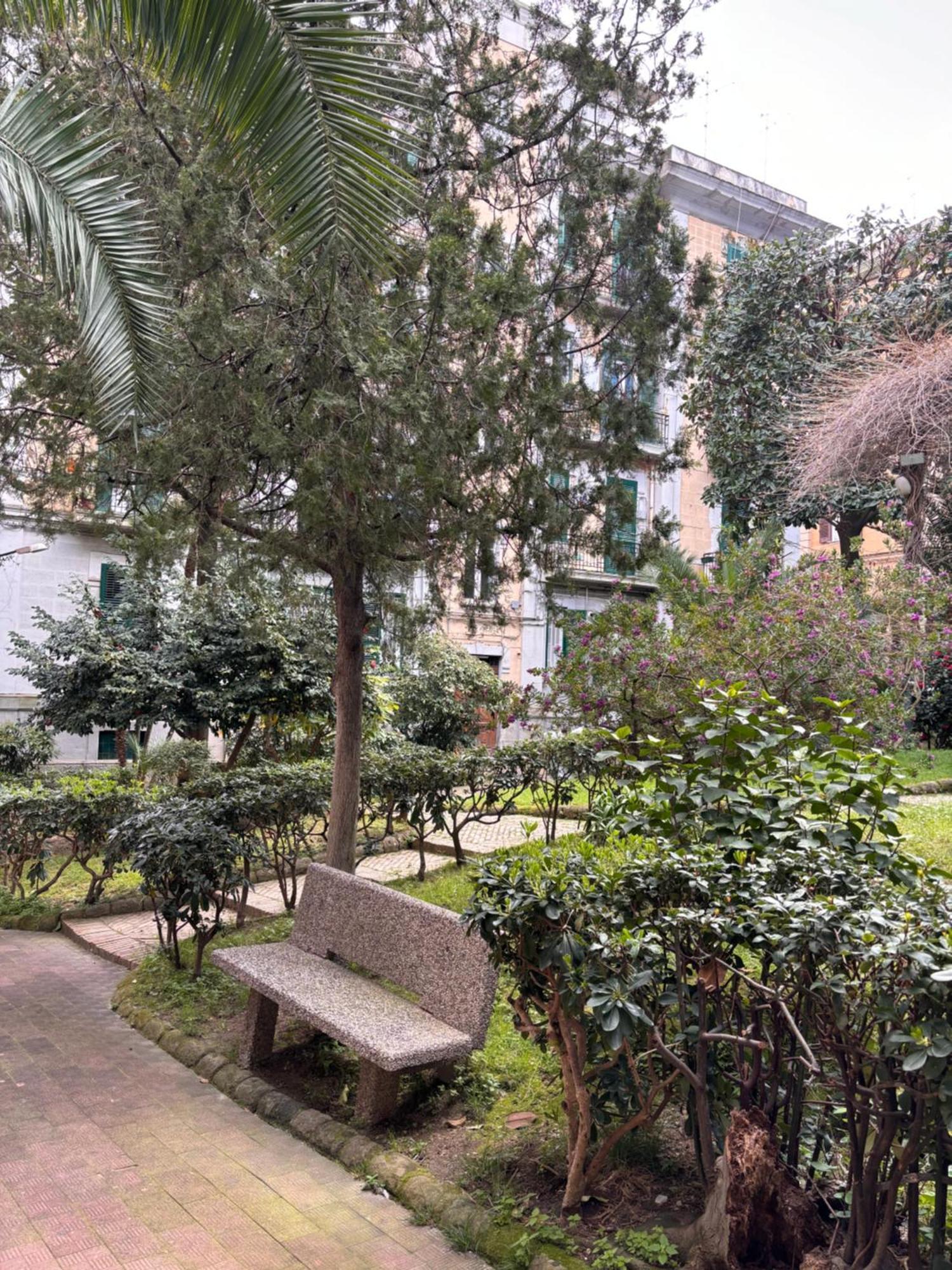 Guest house La Tela Di Elena