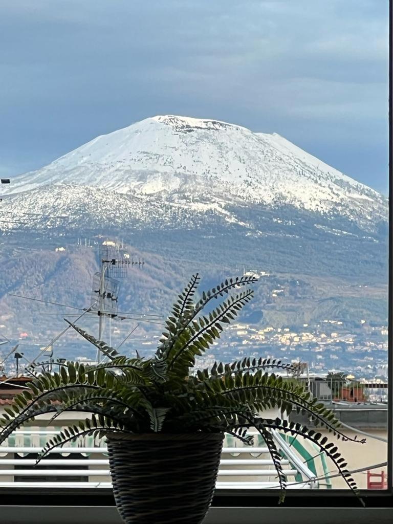 Vesuvio Apartment *