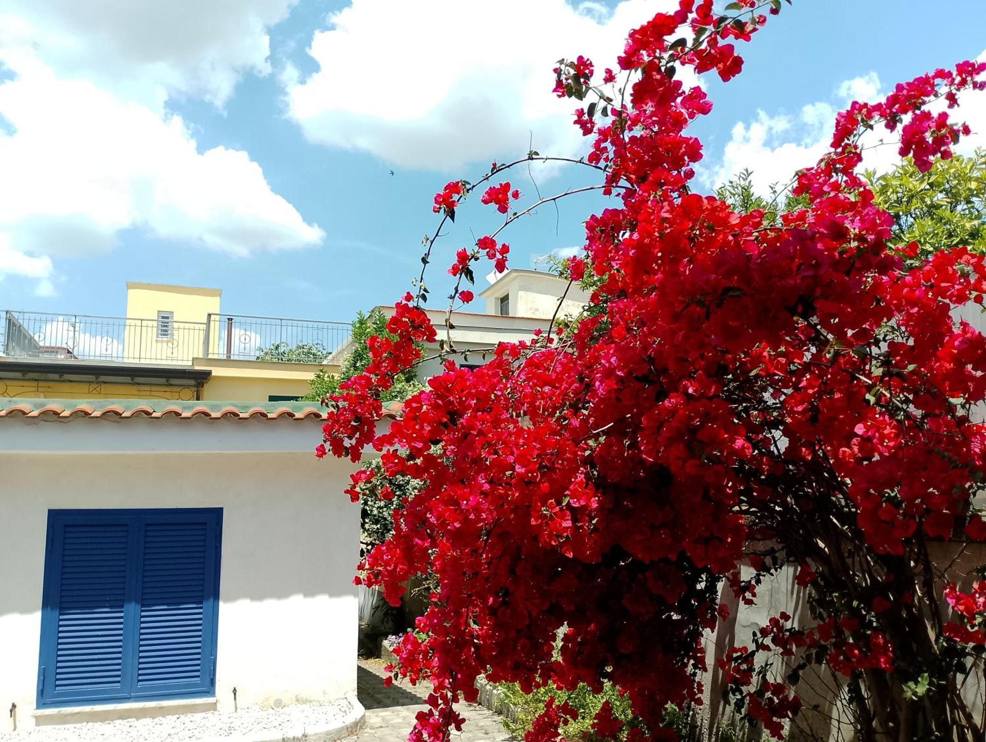 Antoniet Bed & Breakfast Naples