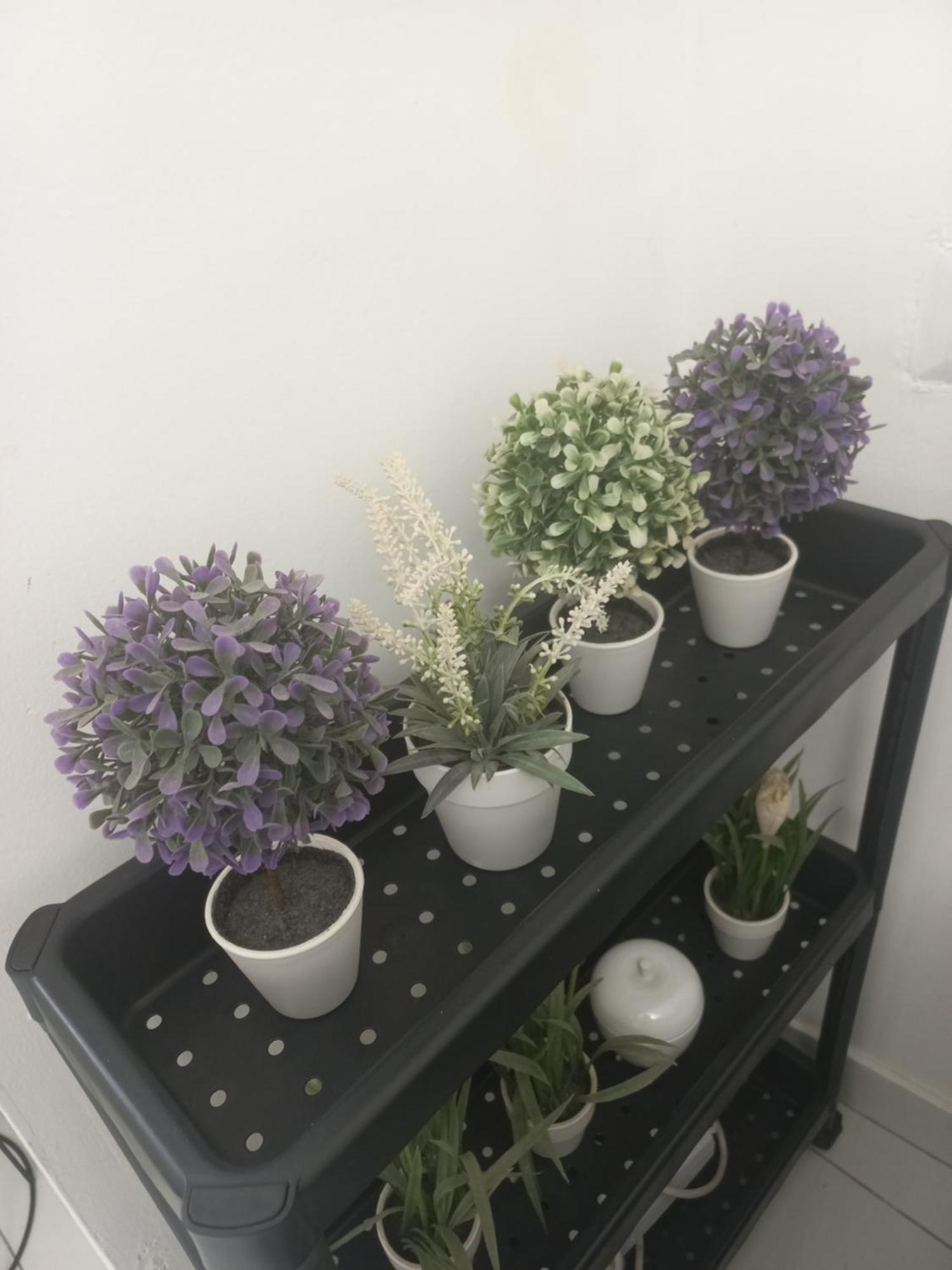 Marinella House Apartment Naples