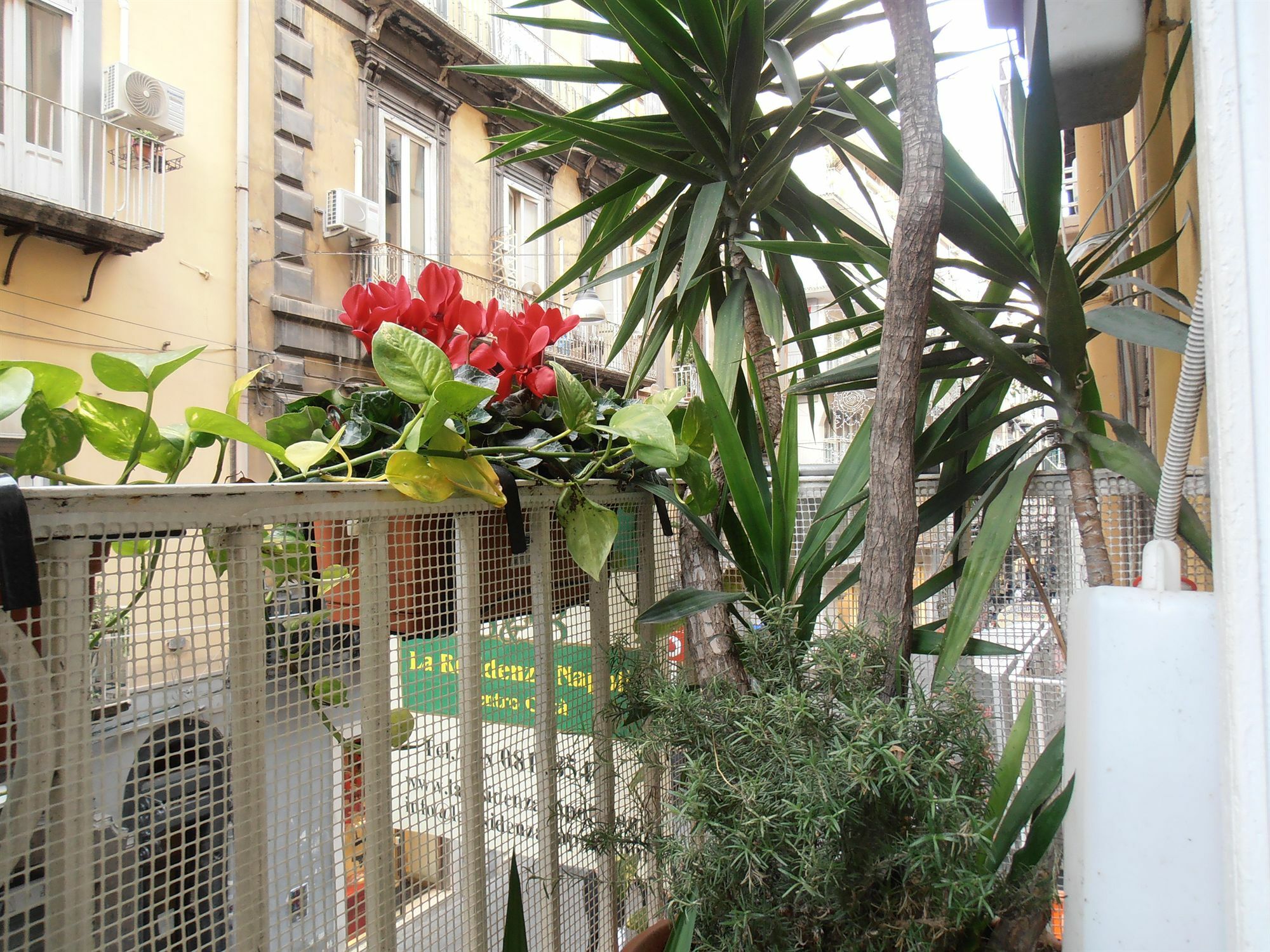 Plebiscito Naples