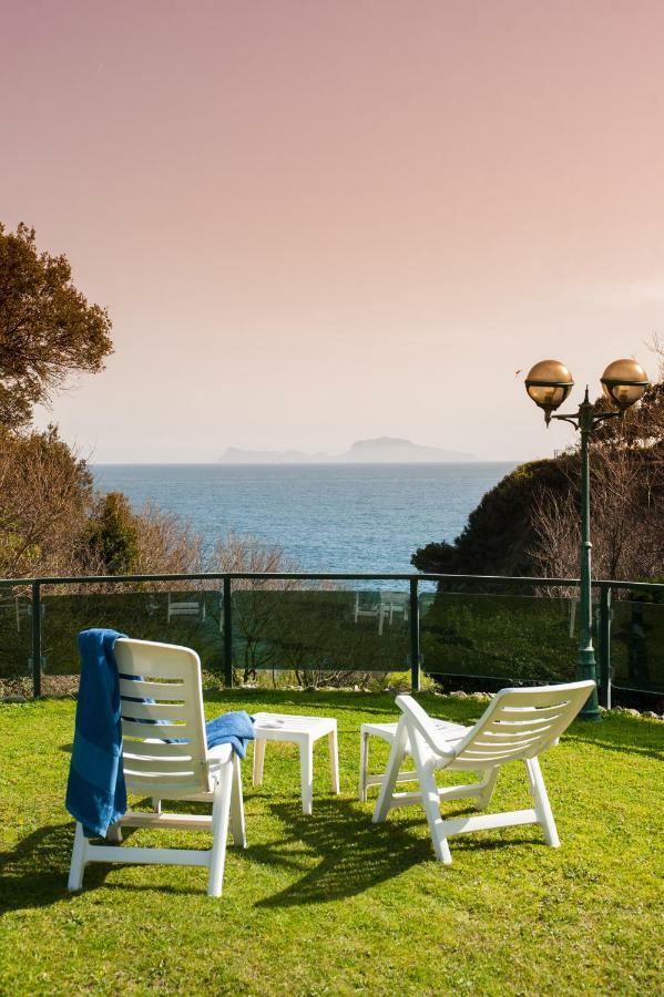 Apartment Holiday Family - Big On The Swimming Pool In Front Of Capri