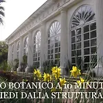 Dg Sweet Home