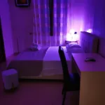 Antonia\'S House