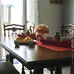 B&B \'A Vucchella