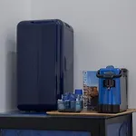 Blue Plebiscito