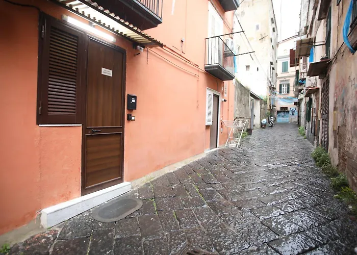 Vincent\'S House