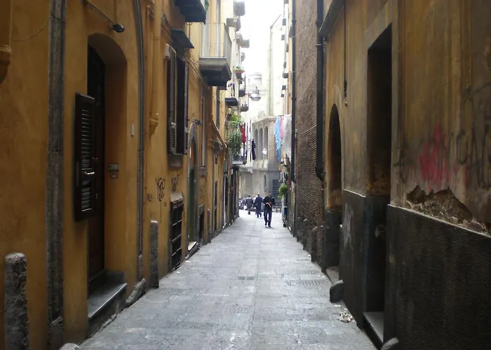 Il Basso 13
