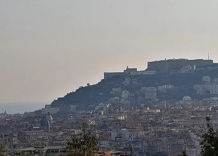 A Due Passi Dal Museo