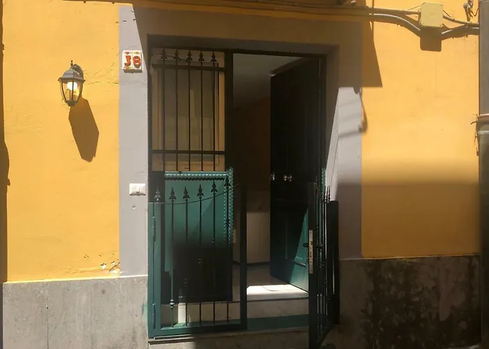 Sole House
