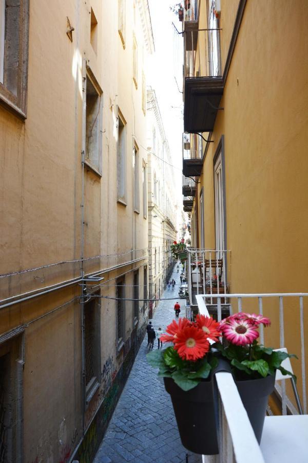Domus 25 Bed & Breakfast 2*