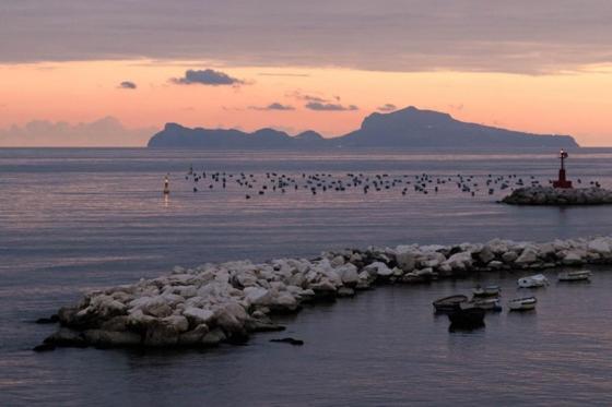 Bed & Breakfast Terrazze Del Lungomare Naples
