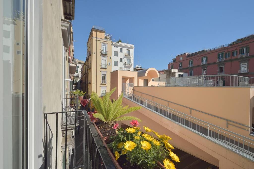 Ferrigni 20 * Naples