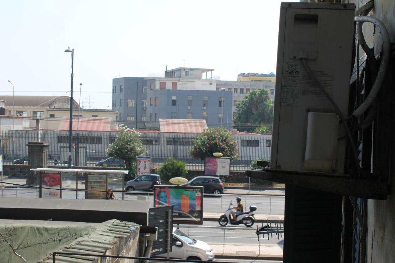 Riccia, Frolla E Babba Naples