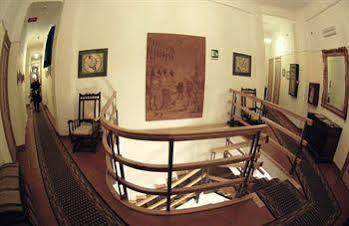 Rex Lifestyle Naples