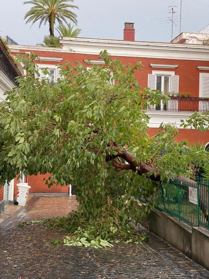 Guest house B-montedidio