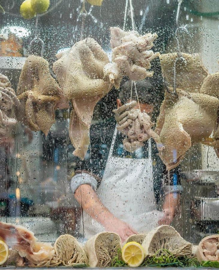 Pulcinella *