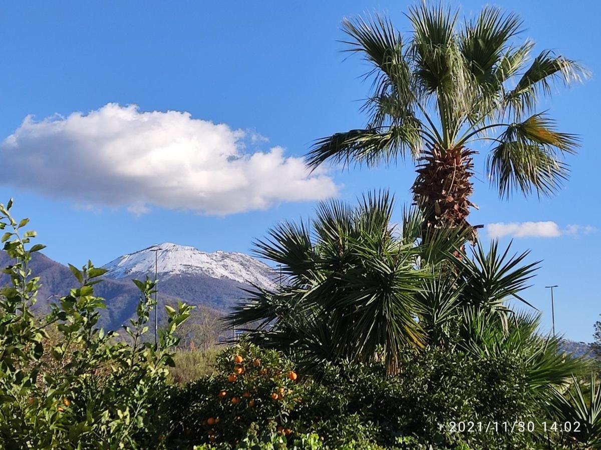 Antoniet Naples