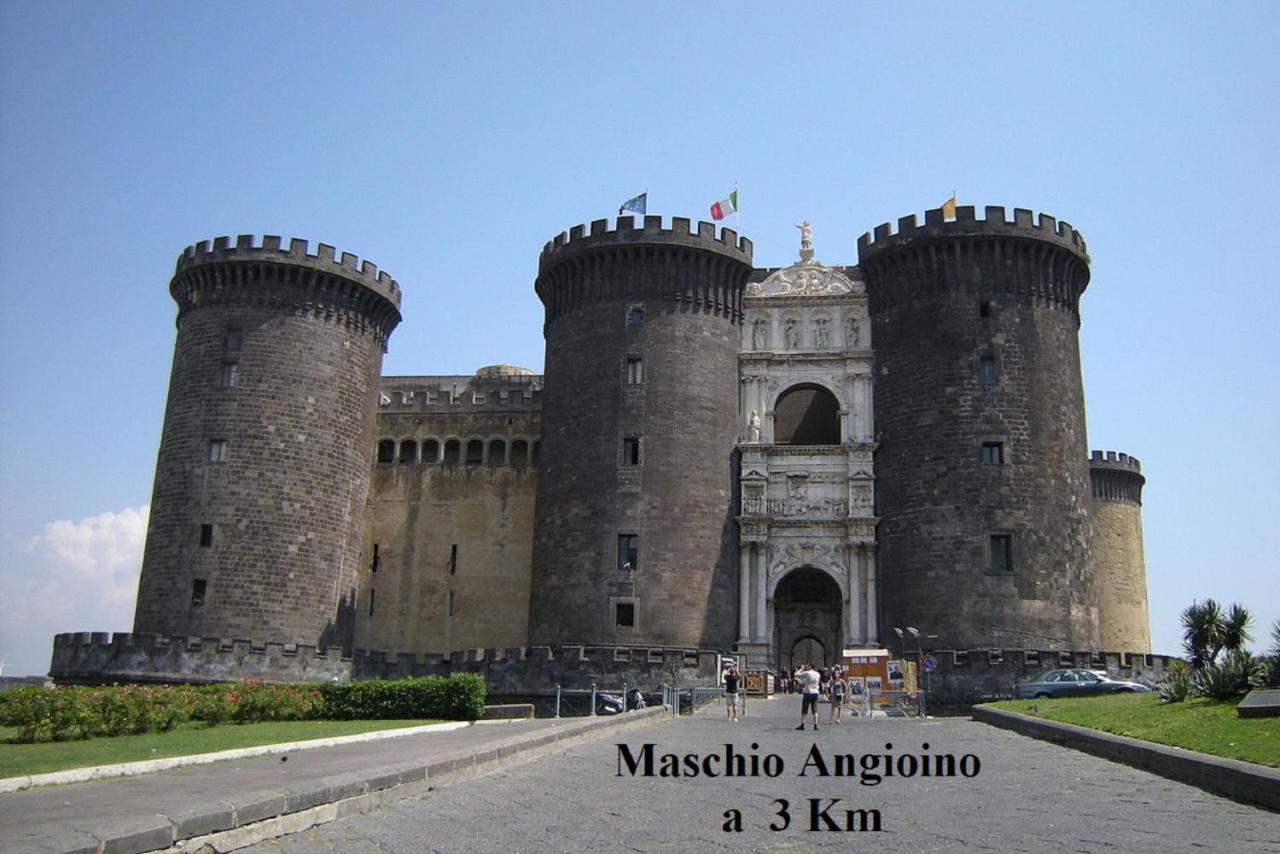 Forever Naples