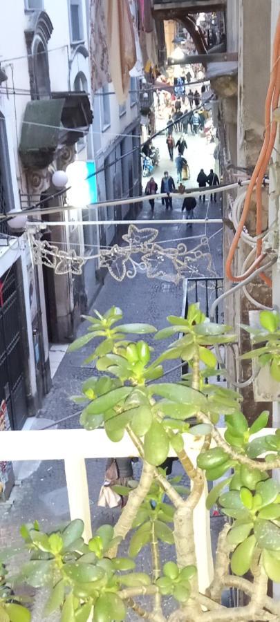 Casa San Biagio 1964 Spaccanapoli *