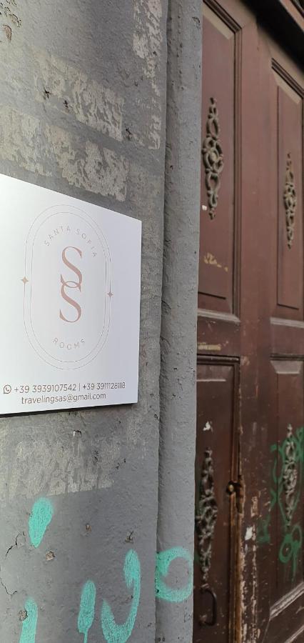 Sofia Guest house *
