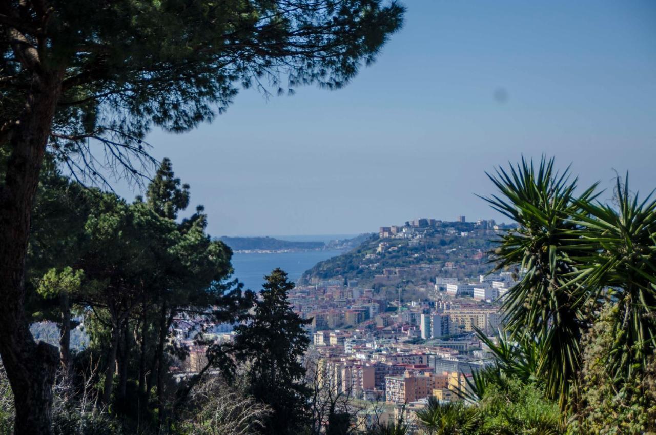 Molly's House A Posillipo Apartment