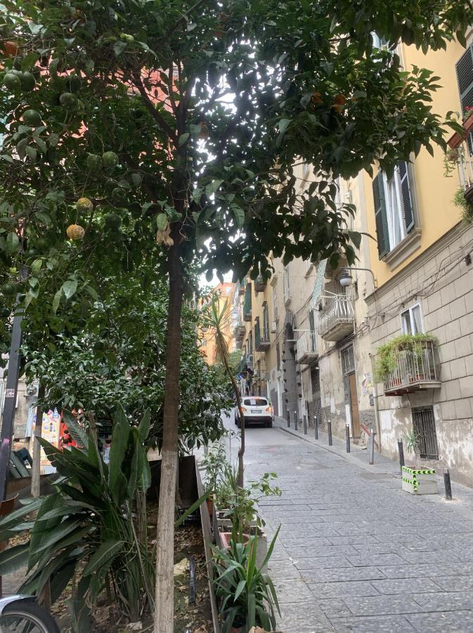 Gradoni 15 Casa Di Apartment