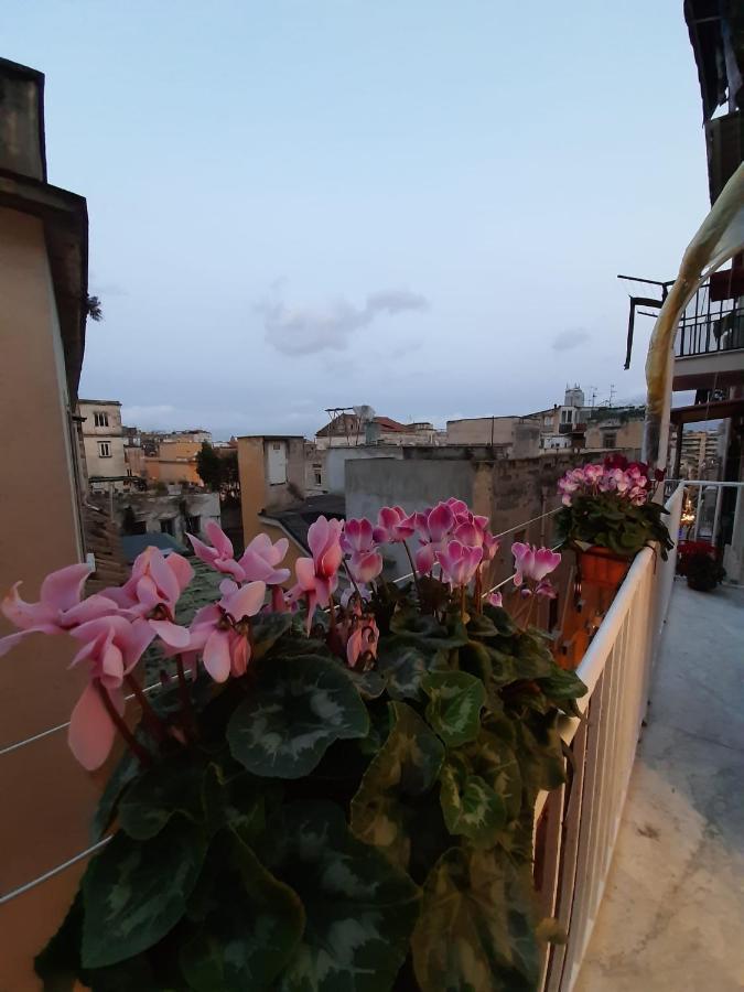 Nello's Naples