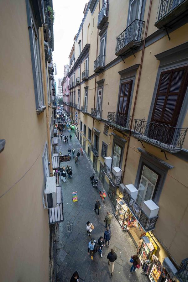 Center By Dimorra Naples