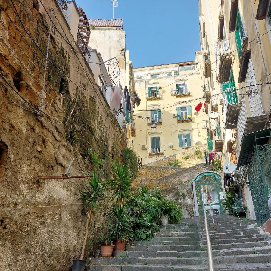 Apartment Casetta 23