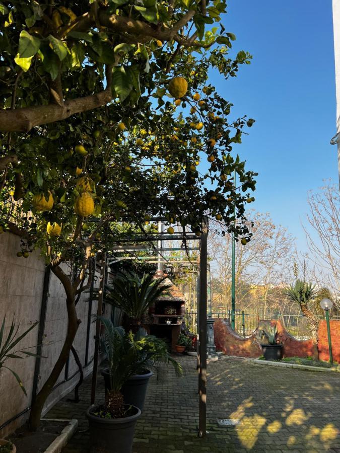 Holiday home La Casa Del Bosco - Unique Two Floors House With Garden *