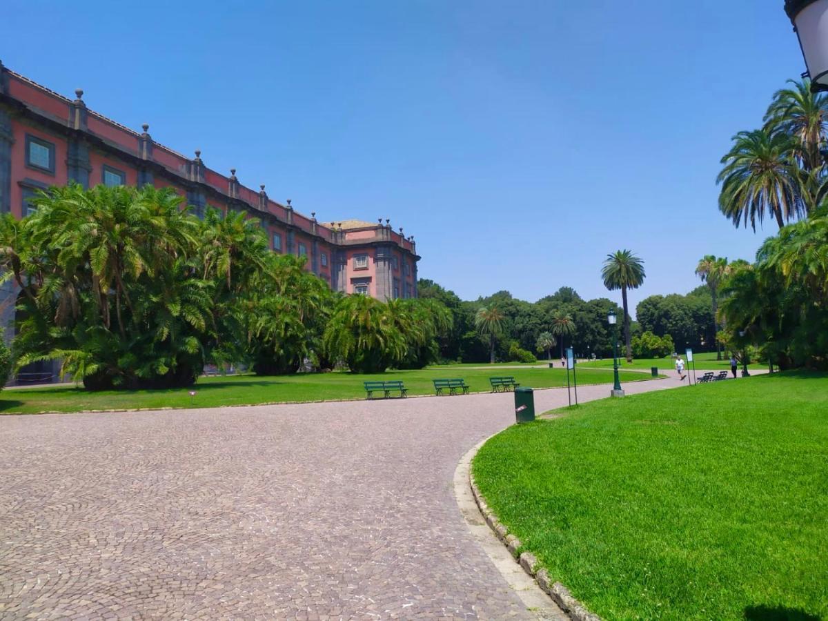 Apartment Vico Longo 25 - Ensuit Flat In The Heart Of