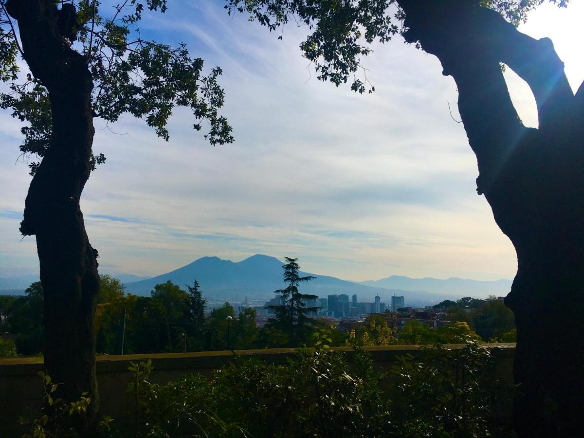 Apartment Vico Longo 25 - Ensuit Flat In The Heart Of