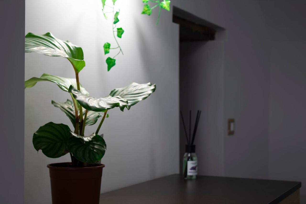 Gregorius Chiringuito Apartment