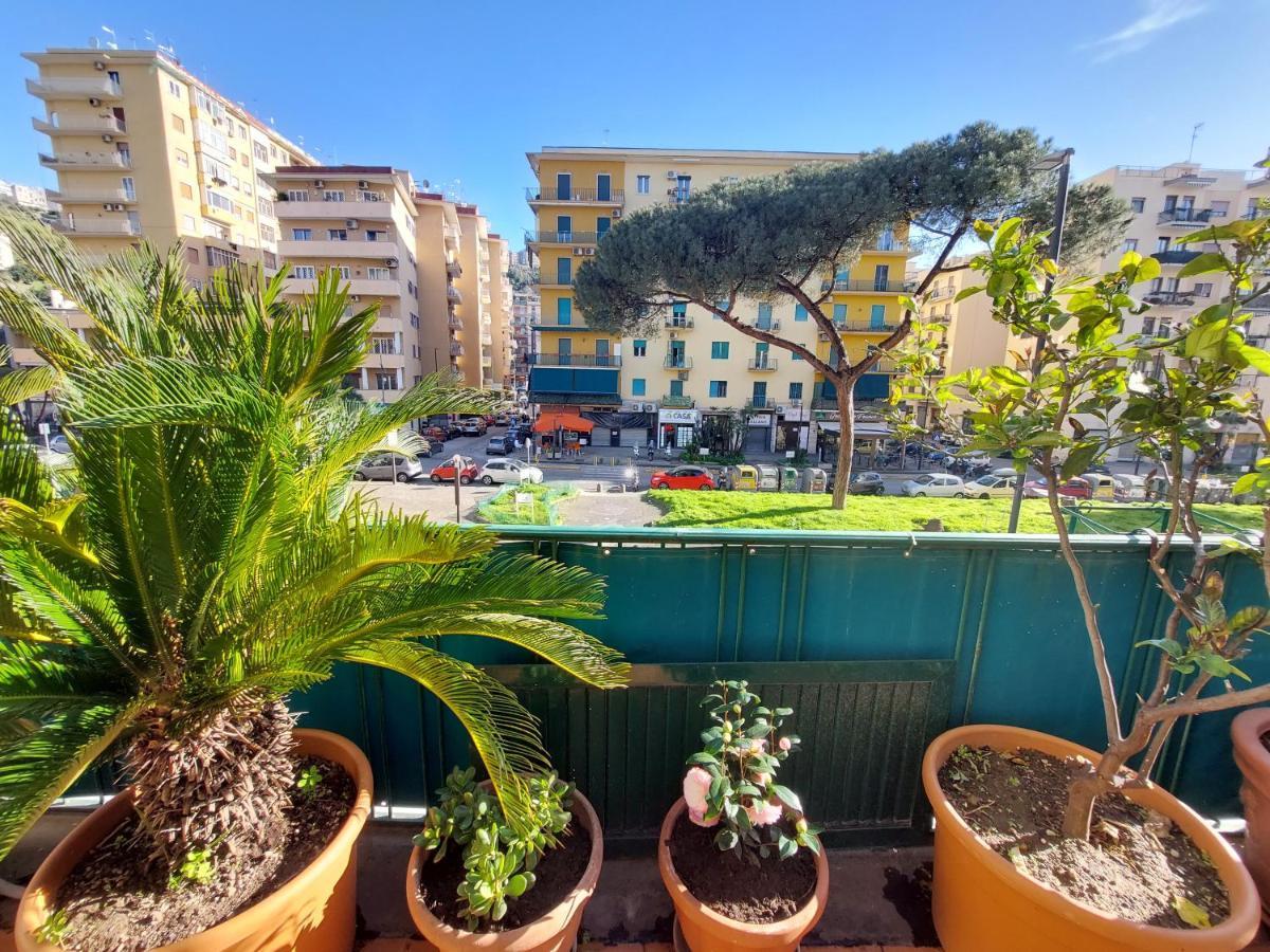 Homestay Domus Cesare *