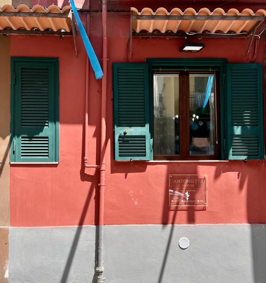 Antonietta House
