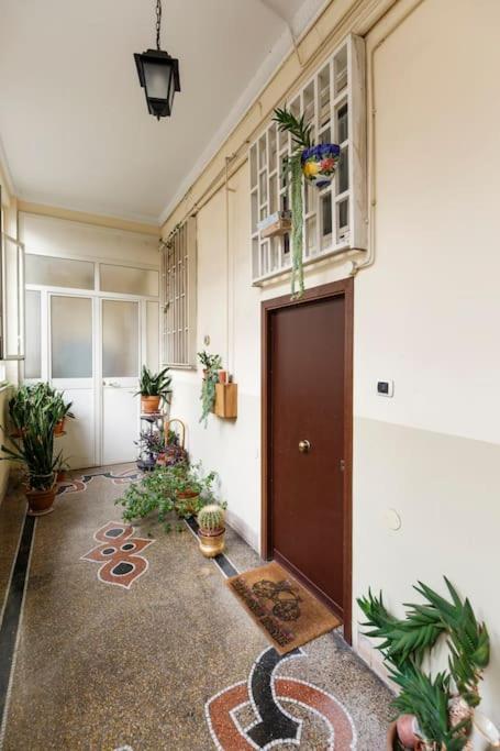 Nautilus Apartment