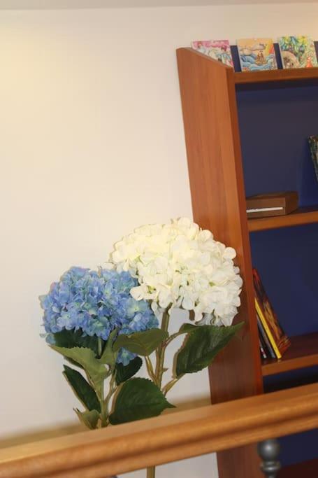 Apartment Nautilus Naples