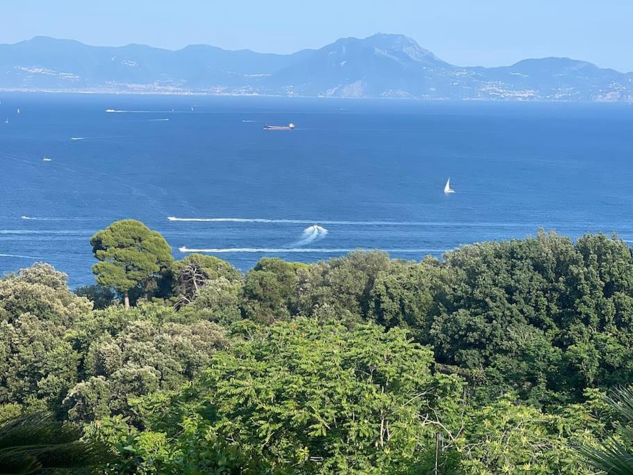 La Maison Del Mare Naples