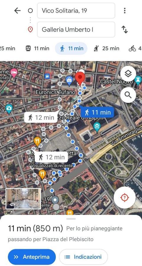 Apartment Palizzi's Behind Plebiscite Square