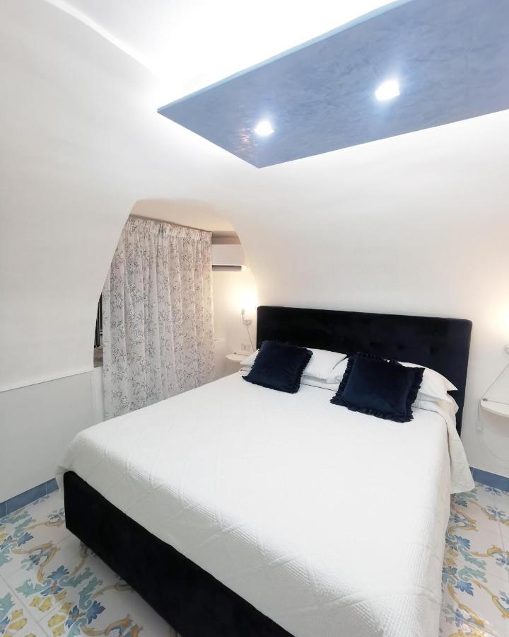 Domus Myosotis Holiday home