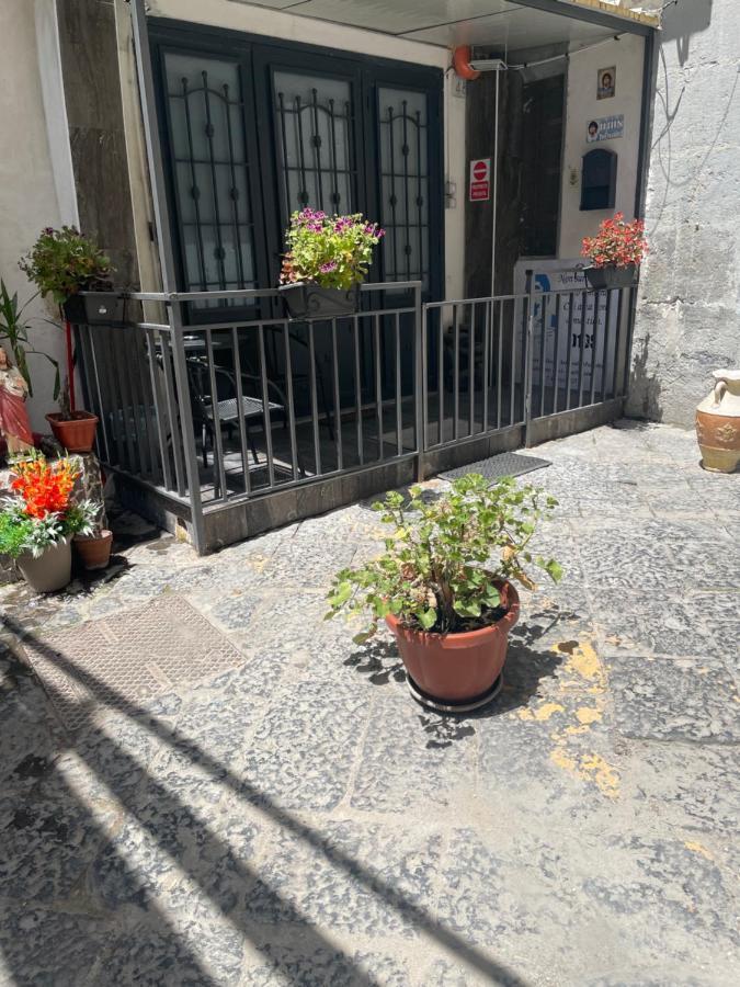 Apartment Regina Bnb