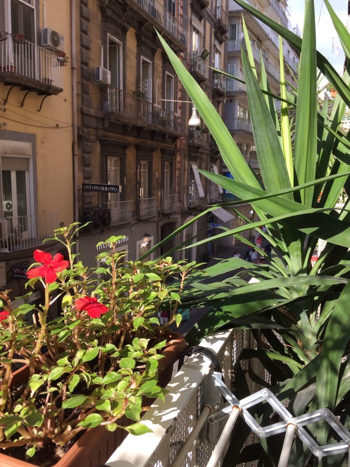 Hotel Plebiscito Naples