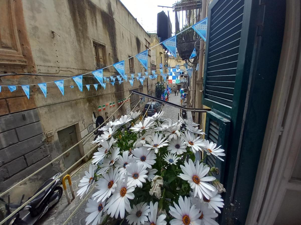 Maison Seviglie * Naples