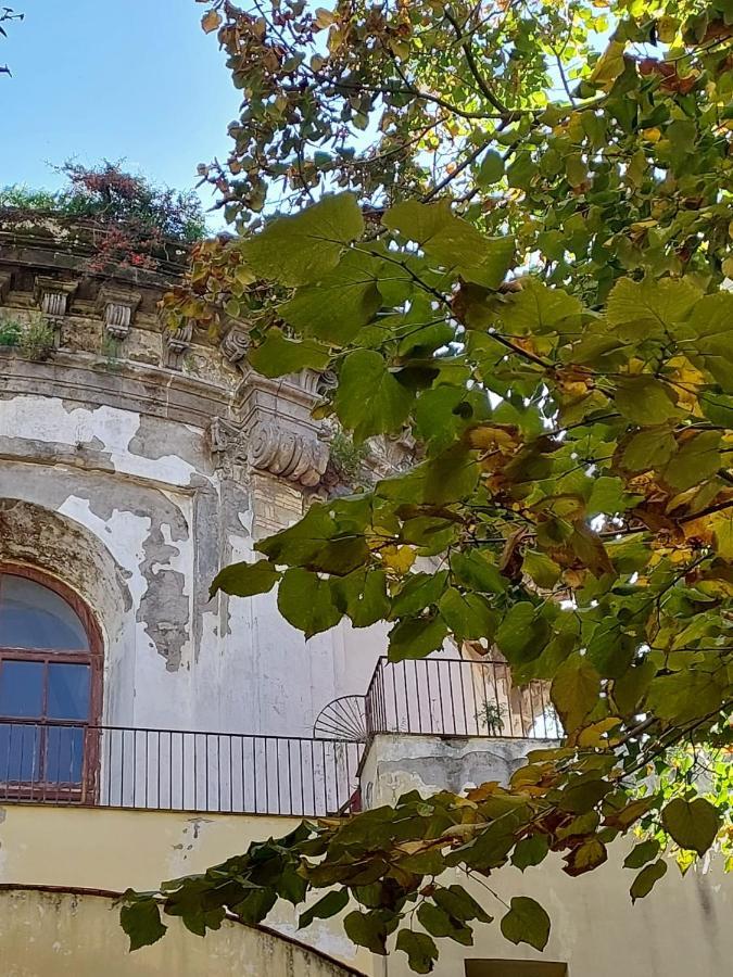Bed & Breakfast Palazzo Carafa Di Montorio *