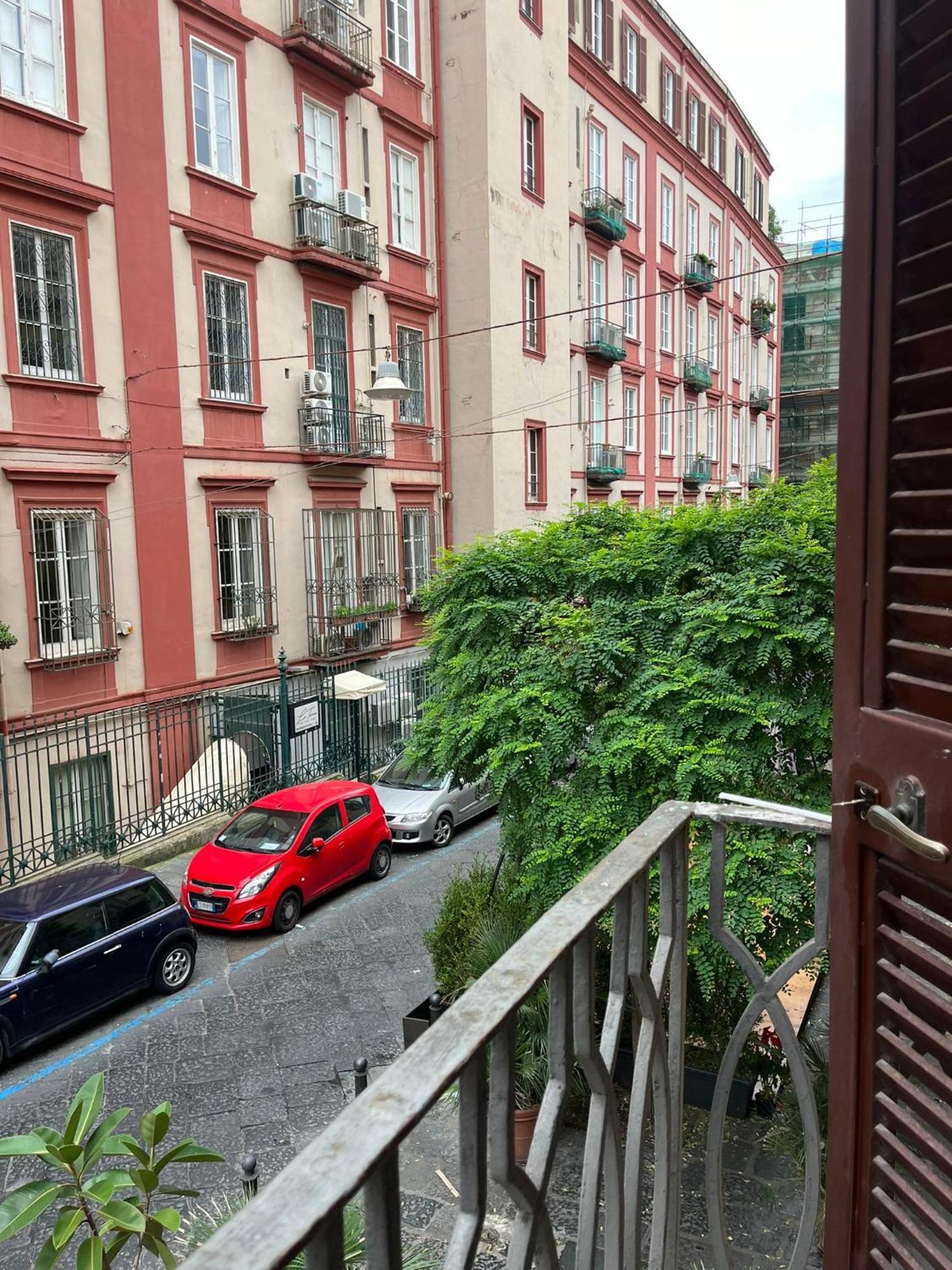 Apartment Mediterranea *