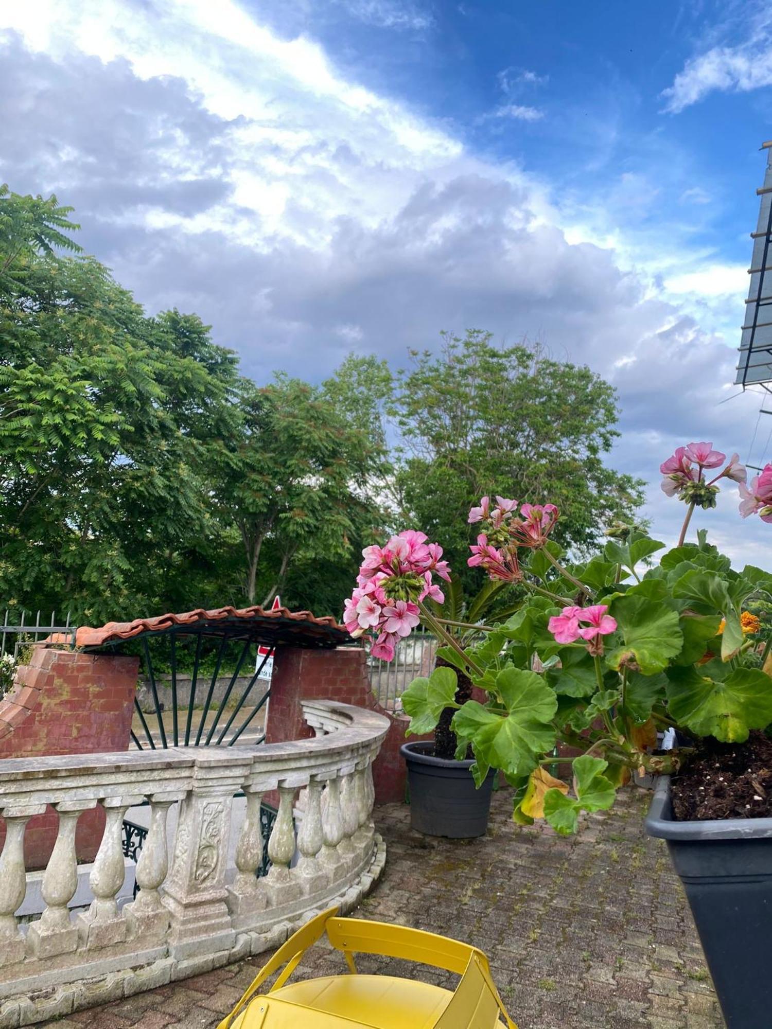 La Casa Del Bosco - Unique Two Floors House With Garden Holiday home *