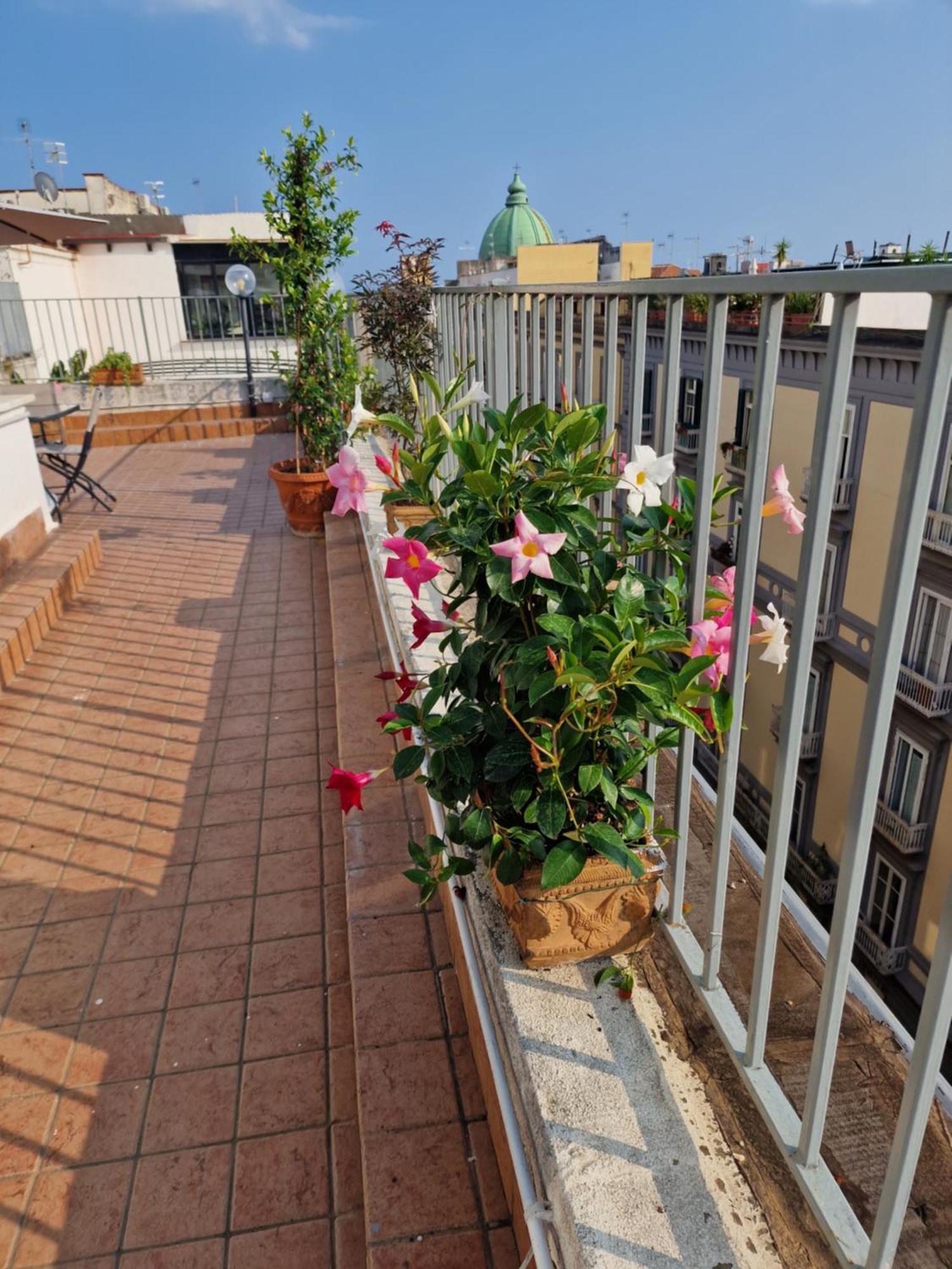 Guest house La Terrazza Delle Fate