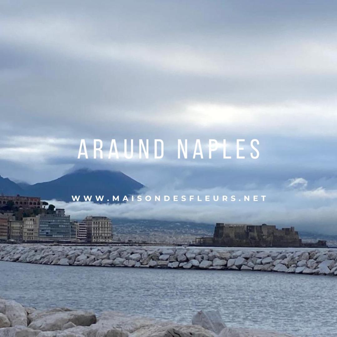 Maison Des Fleurs Guest house Naples